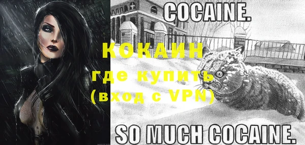 крисы Осташков