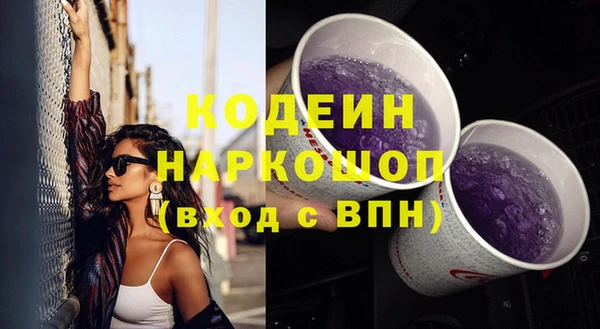 прущие грибы Каменка